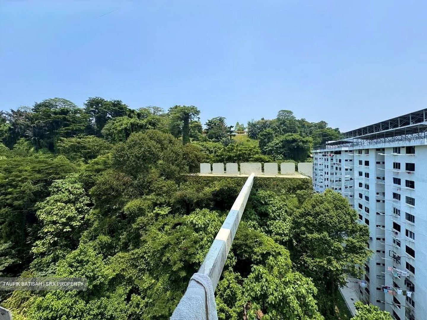 Blk 43 Telok Blangah Rise (Bukit Merah), HDB 3 Rooms #611095181